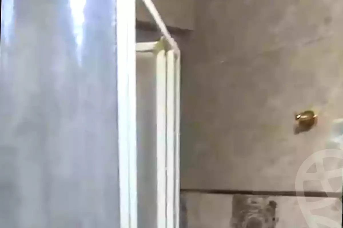 https://aqarmap.com.eg/ar/listing/7062086-for-rent-alexandria-smouha-mohammed-fawzi-moaz-st