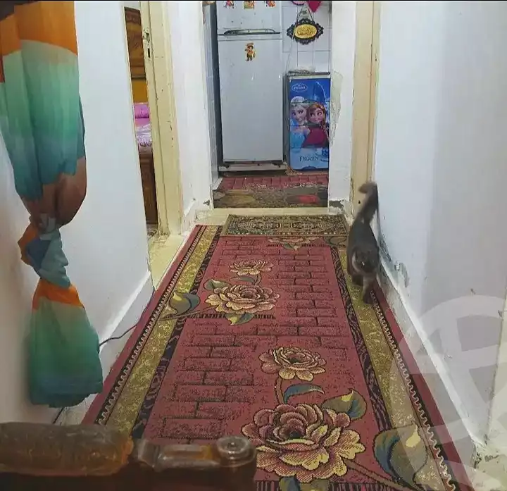 https://aqarmap.com.eg/en/listing/7062166-for-sale-alexandria-al-agamy-bw-ywsf-hosni-mubarak-st