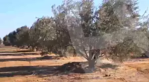 https://aqarmap.com.eg/ar/listing/7063307-for-sale-ismailia-el-qantara
