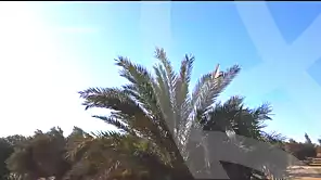 https://aqarmap.com.eg/ar/listing/7063408-for-sale-ismailia-el-qantara