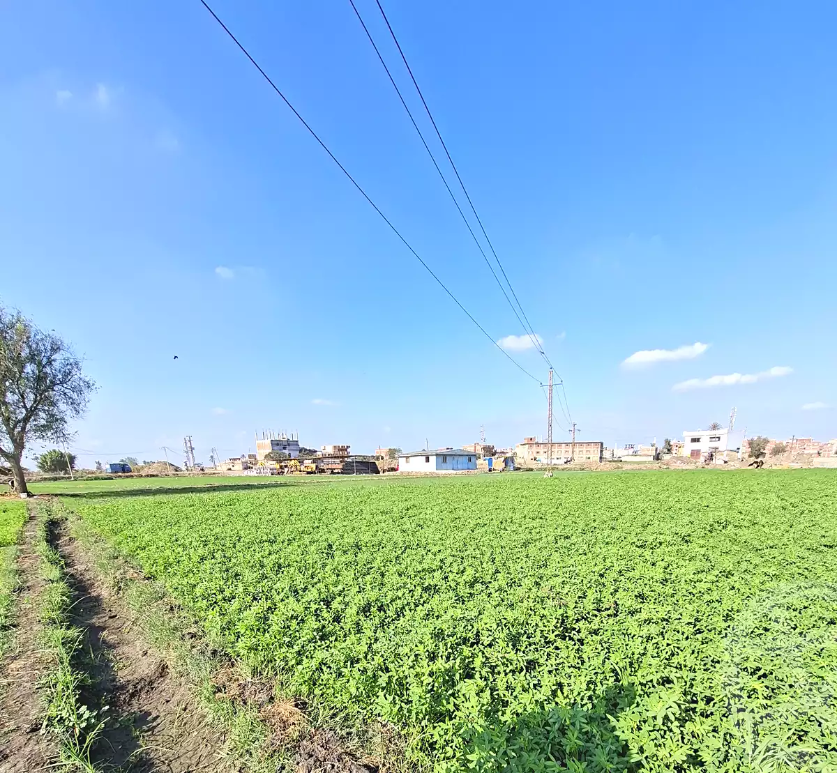 https://aqarmap.com.eg/ar/listing/7064389-for-sale-sharqia-faqous-el-sawaleh
