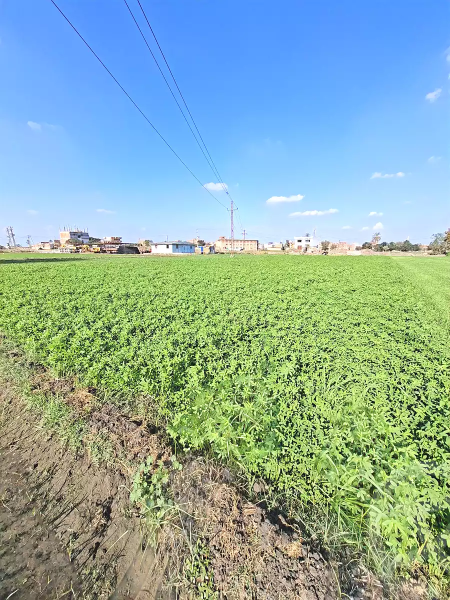 https://aqarmap.com.eg/ar/listing/7064389-for-sale-sharqia-faqous-el-sawaleh