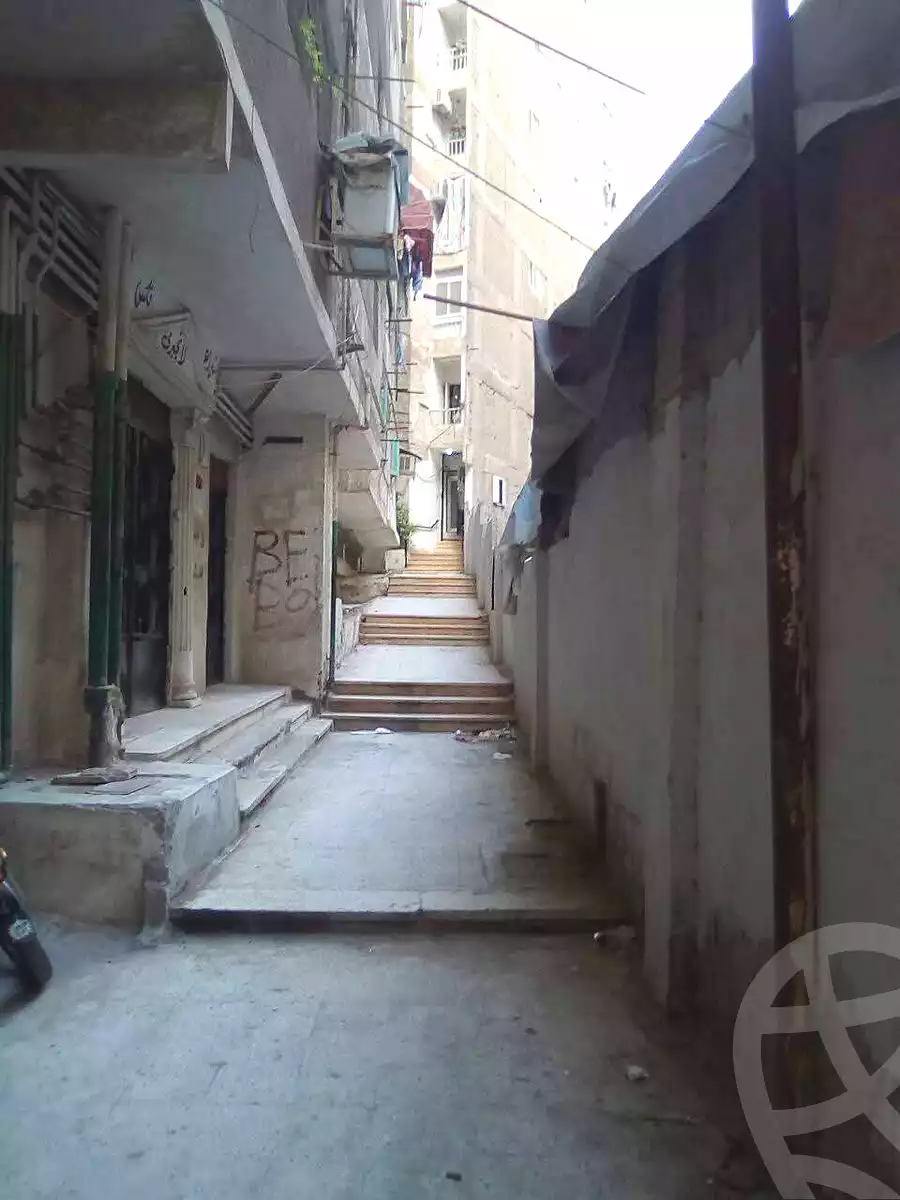 https://aqarmap.com.eg/en/listing/7064473-for-rent-alexandria-shds