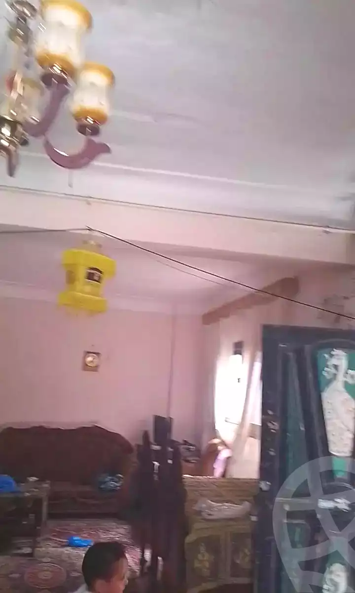 https://aqarmap.com.eg/en/listing/7064764-for-sale-alexandria-el-amreya