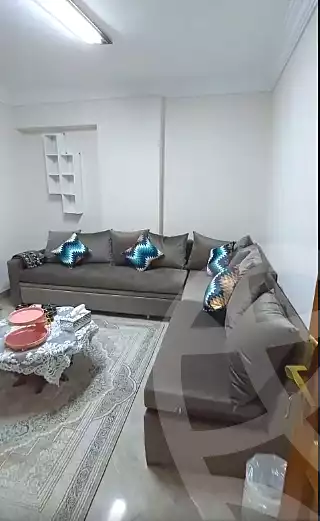 https://aqarmap.com.eg/ar/listing/7069620-for-sale-cairo-ain-shams-ain-shams-el-sharkia-el-eshrein-stt