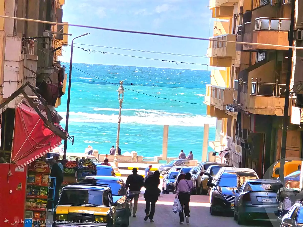https://aqarmap.com.eg/en/listing/7070172-for-rent-alexandria-el-asafra