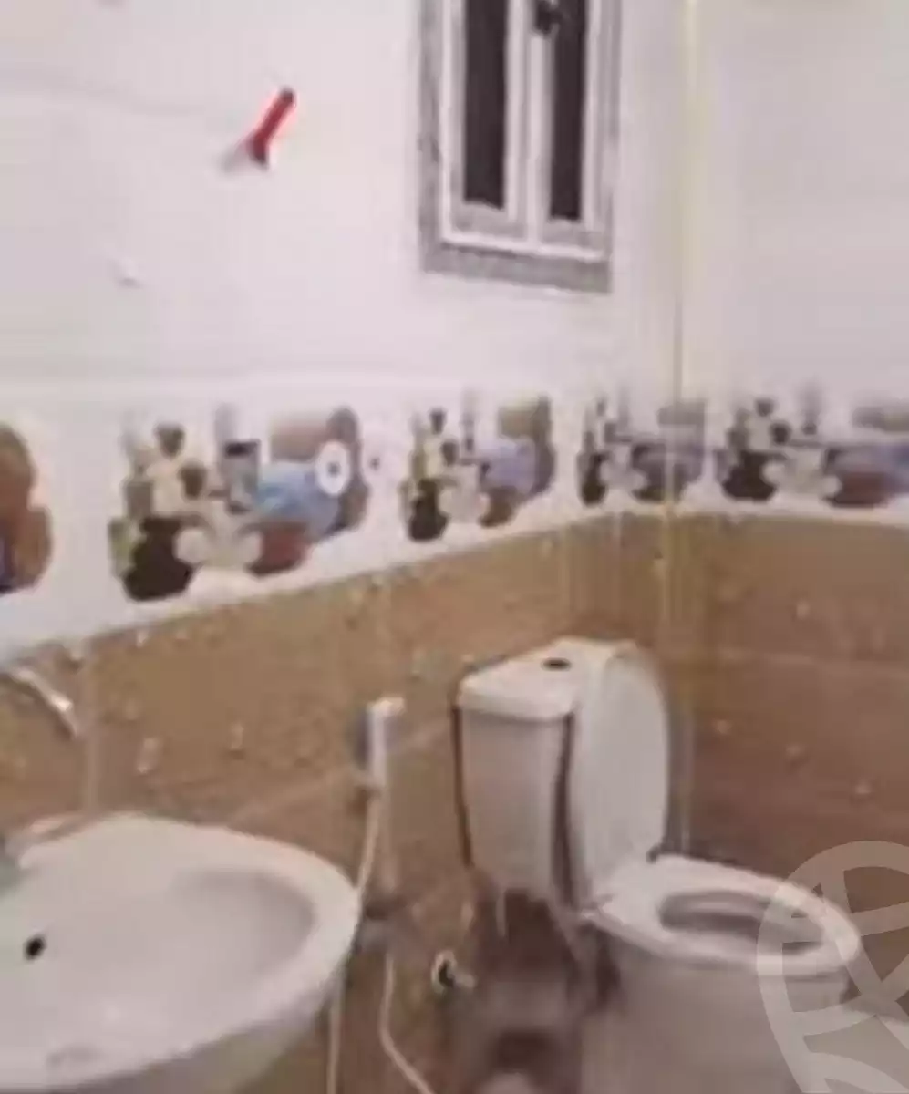 https://aqarmap.com.eg/ar/listing/7070957-for-rent-cairo-el-zaytun-hlmy-lzytwn