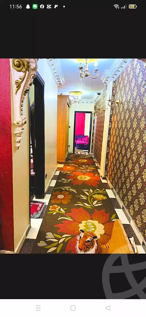 https://aqarmap.com.eg/ar/listing/7072785-for-sale-alexandria-al-agamy-lbytsh-princess-st