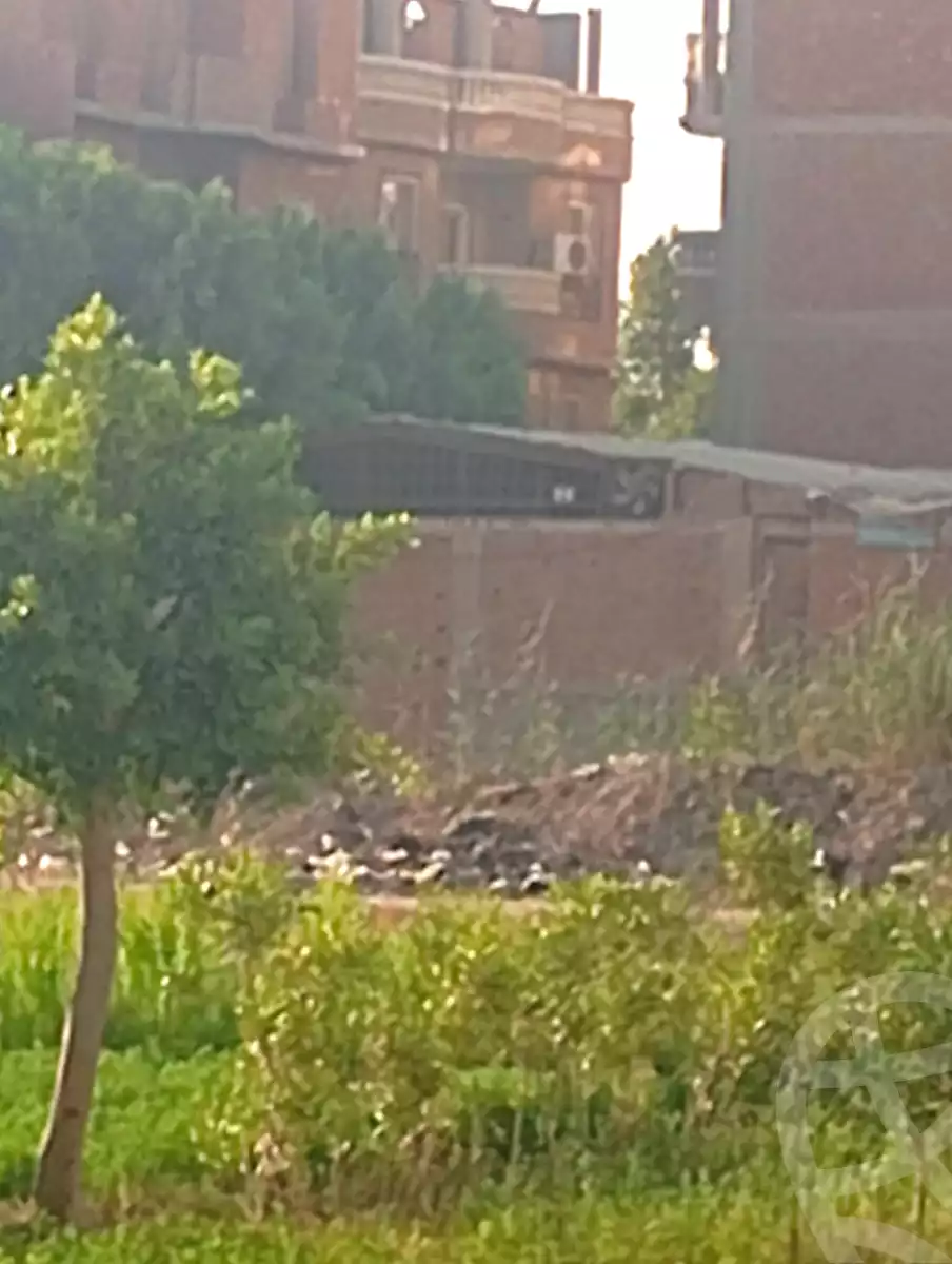 https://aqarmap.com.eg/ar/listing/7074577-for-sale-cairo-kirdasah-saft-el-laban