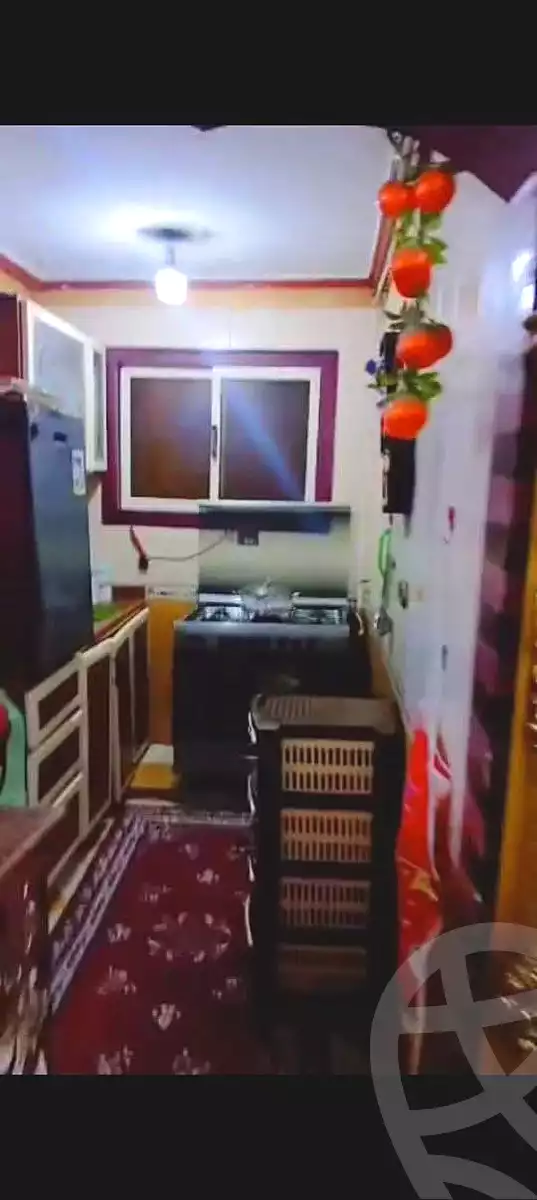 https://aqarmap.com.eg/en/listing/7078960-for-sale-alexandria-al-agamy-el-hanouvel-el-kholafaa-el-rashdeen-st