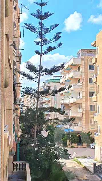 https://aqarmap.com.eg/ar/listing/7078985-for-sale-alexandria-al-agamy-shataa-el-nakheel