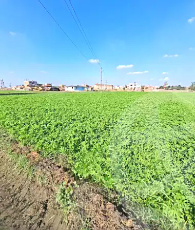 https://aqarmap.com.eg/ar/listing/7080016-for-sale-sharqia-faqous-el-sawaleh