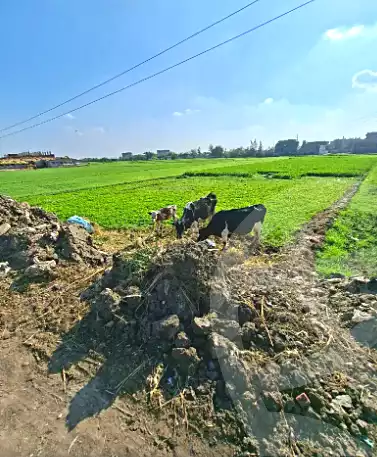 https://aqarmap.com.eg/ar/listing/7080016-for-sale-sharqia-faqous-el-sawaleh