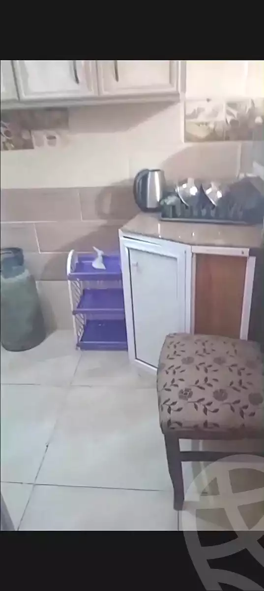 https://aqarmap.com.eg/en/listing/7080638-for-rent-cairo-ain-shams-mnshy-lthryr