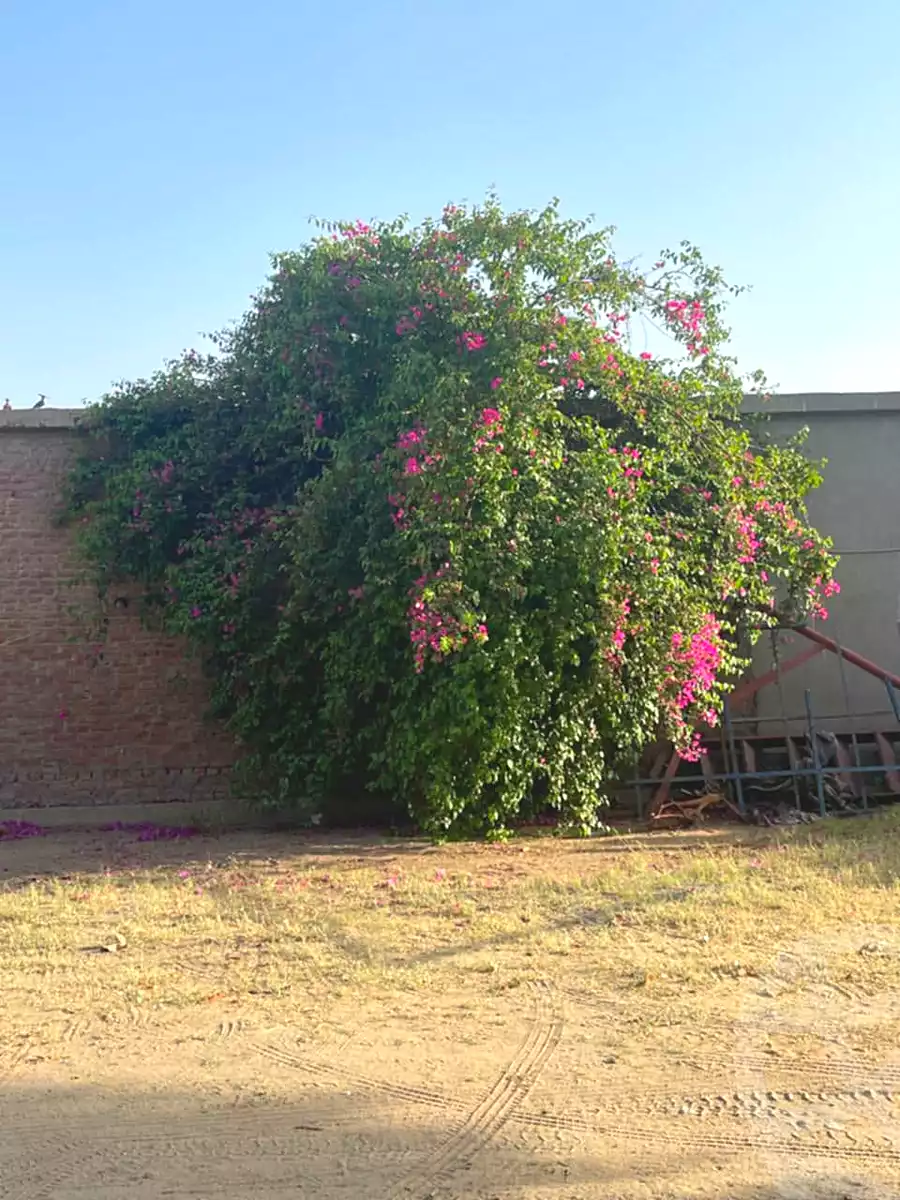 https://aqarmap.com.eg/ar/listing/7081770-for-sale-qalyubia-el-khanka-el-khanka-city