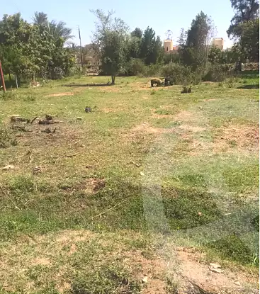 https://aqarmap.com.eg/en/listing/7085666-for-sale-ismailia-fayed
