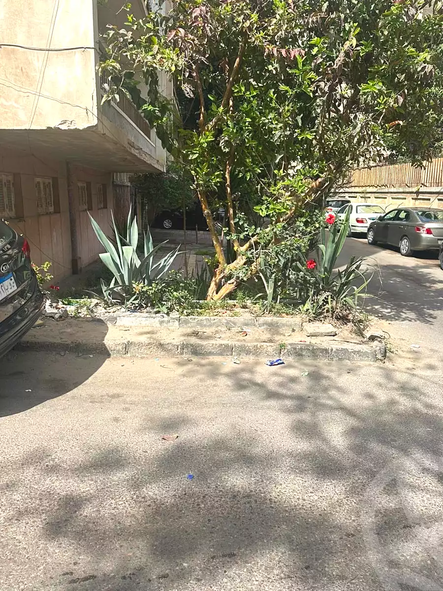 https://aqarmap.com.eg/en/listing/7085954-for-sale-alexandria-kafr-abdo-kafr-abdou-st