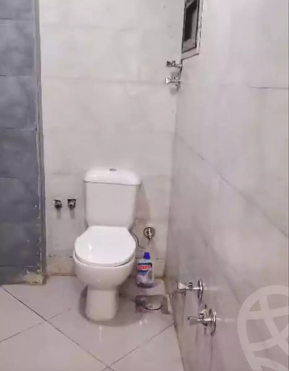 https://aqarmap.com.eg/en/listing/7086333-for-sale-cairo-ain-shams-mnshy-lthryr