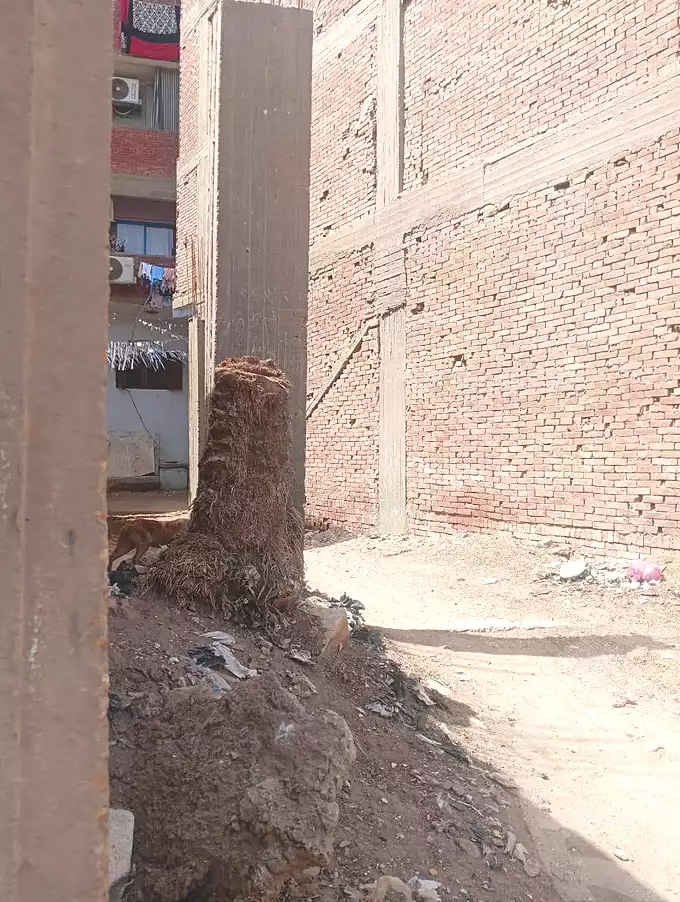 https://aqarmap.com.eg/ar/listing/7086813-for-sale-cairo-ljyz-bw-lnmrs