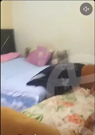 https://aqarmap.com.eg/en/listing/7088011-for-rent-cairo-el-haram-bolak-el-dakror-zenein