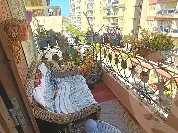https://aqarmap.com.eg/en/listing/7088734-for-sale-alexandria-al-mamoura-lm-mwr-lshty