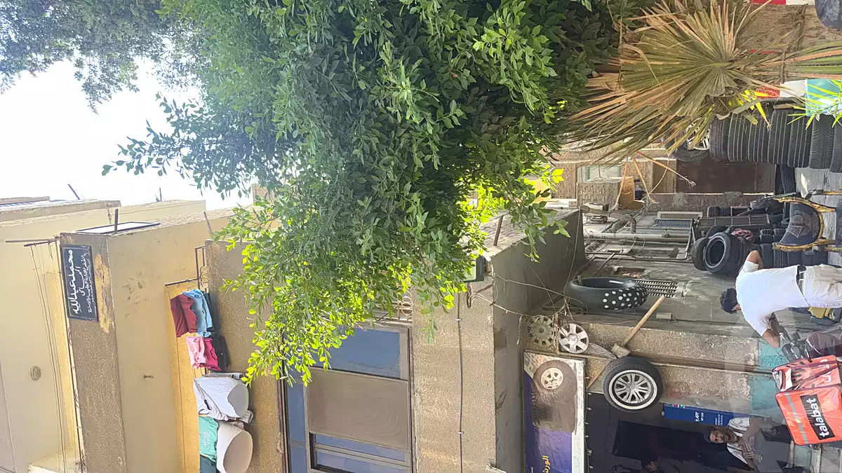 https://aqarmap.com.eg/en/listing/7093100-for-sale-cairo-helwan-mohamed-sayed-ahmed-st