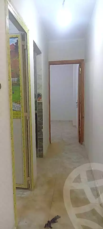 https://aqarmap.com.eg/en/listing/7096287-for-rent-alexandria-lsywf-el-falki