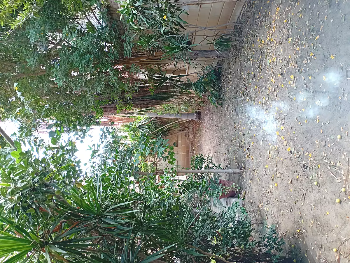 https://aqarmap.com.eg/ar/listing/7093668-for-sale-cairo-al-oubour-el-hay-el-sabaa-youssef-sabri-st