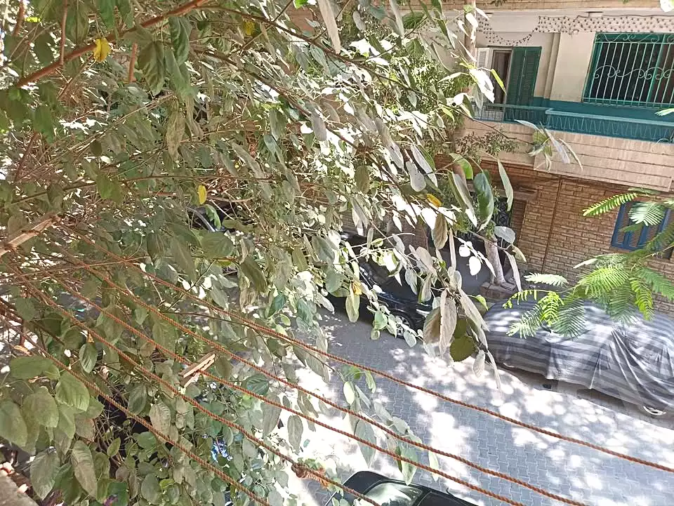 https://aqarmap.com.eg/en/listing/7101576-for-sale-cairo-el-haram-shareaa-naser-el-thawrah
