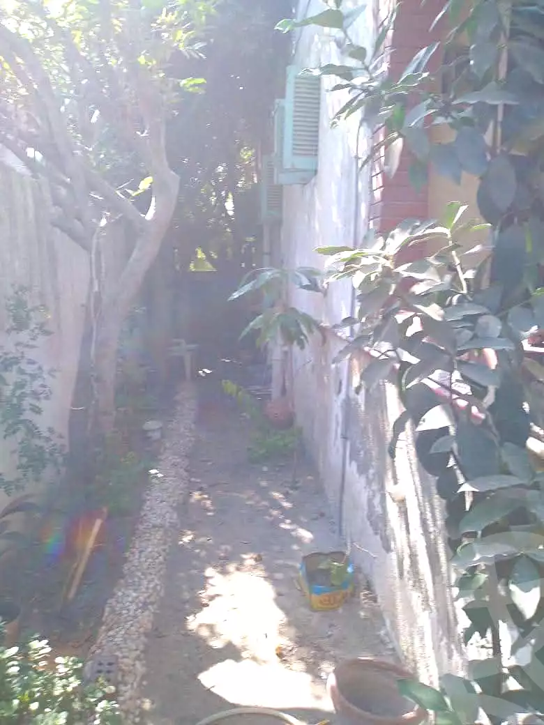 https://aqarmap.com.eg/ar/listing/7102543-for-rent-alexandria-al-agamy-lbytsh-shahr-al-assal-st