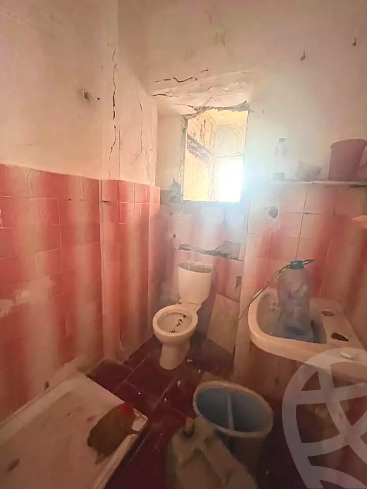 https://aqarmap.com.eg/en/listing/7103372-for-sale-alexandria-al-agamy-lbytsh-bianchiii-street-11