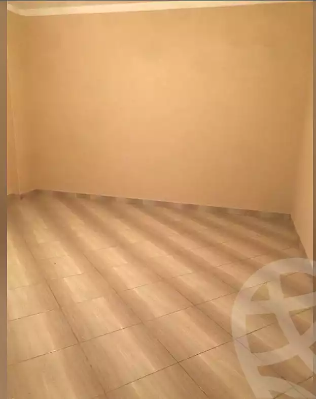 https://aqarmap.com.eg/en/listing/7104085-for-rent-cairo-faisal-shareaa-el-thalatheny