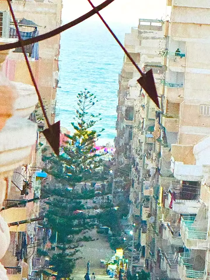 https://aqarmap.com.eg/ar/listing/7104347-for-sale-alexandria-al-agamy-shataa-el-nakheel