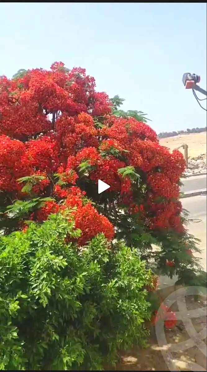 https://aqarmap.com.eg/ar/listing/7106674-for-sale-cairo-new-cairo-el-kattameya-kattameya-road