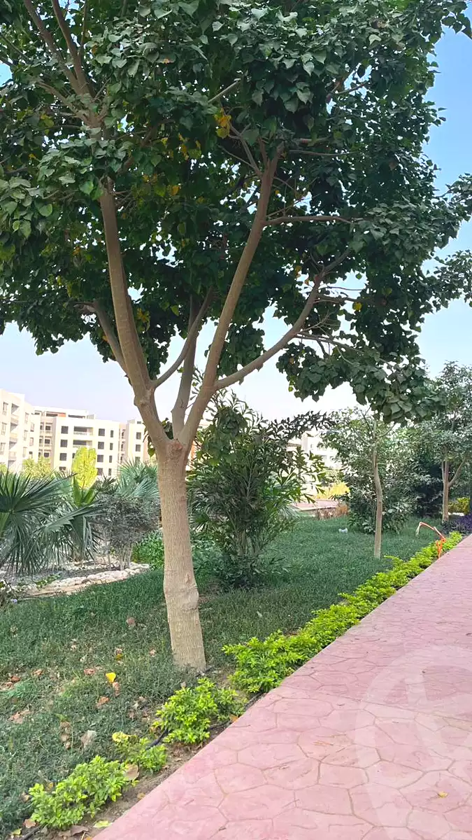 https://aqarmap.com.eg/ar/listing/7110538-for-sale-cairo-new-cairo-lmstqbl-syty-compounds-zyzyny-lmstqbl-rdk-llttwyr