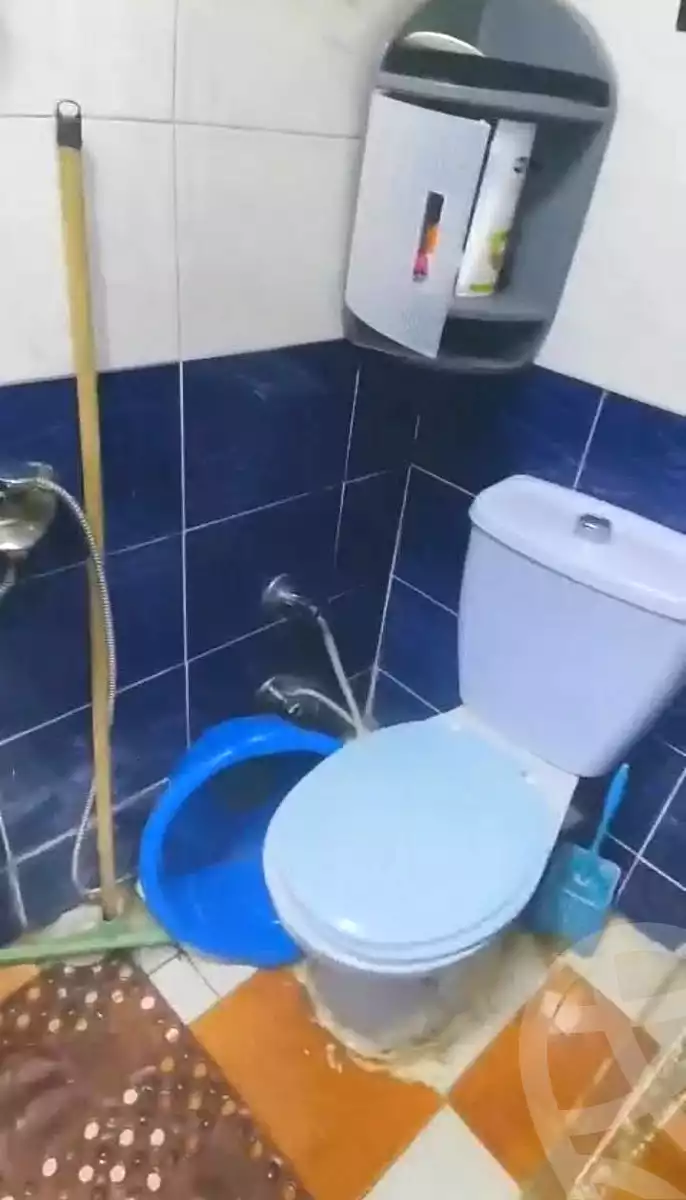 https://aqarmap.com.eg/ar/listing/7110576-for-sale-alexandria-lsywf-gamila-abu-herid-st