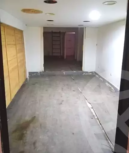 https://aqarmap.com.eg/en/listing/7115789-for-rent-cairo-manial-manial-st