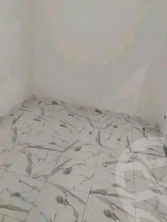 https://aqarmap.com.eg/en/listing/7116252-for-rent-alexandria-al-agamy-khair-allah-st