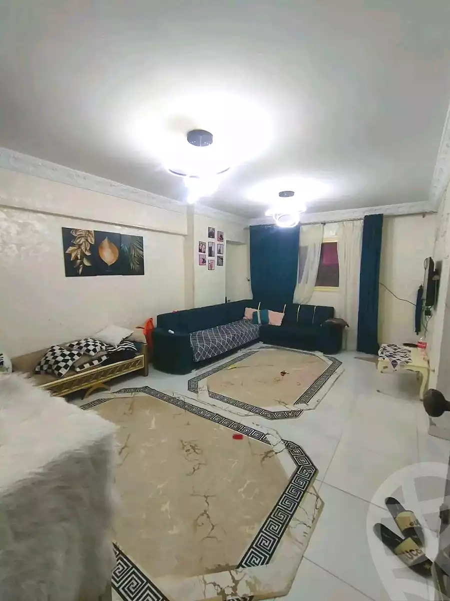 https://aqarmap.com.eg/ar/listing/7116915-for-sale-alexandria-lsywf-el-falki-street-16-el-eslah