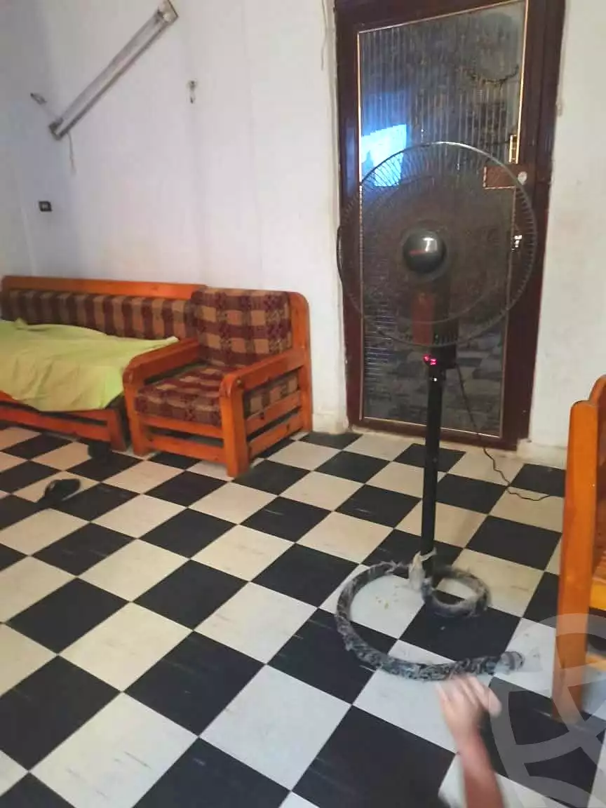 https://aqarmap.com.eg/en/listing/7116966-for-sale-alexandria-al-agamy-lbytsh-shahr-al-assal-st