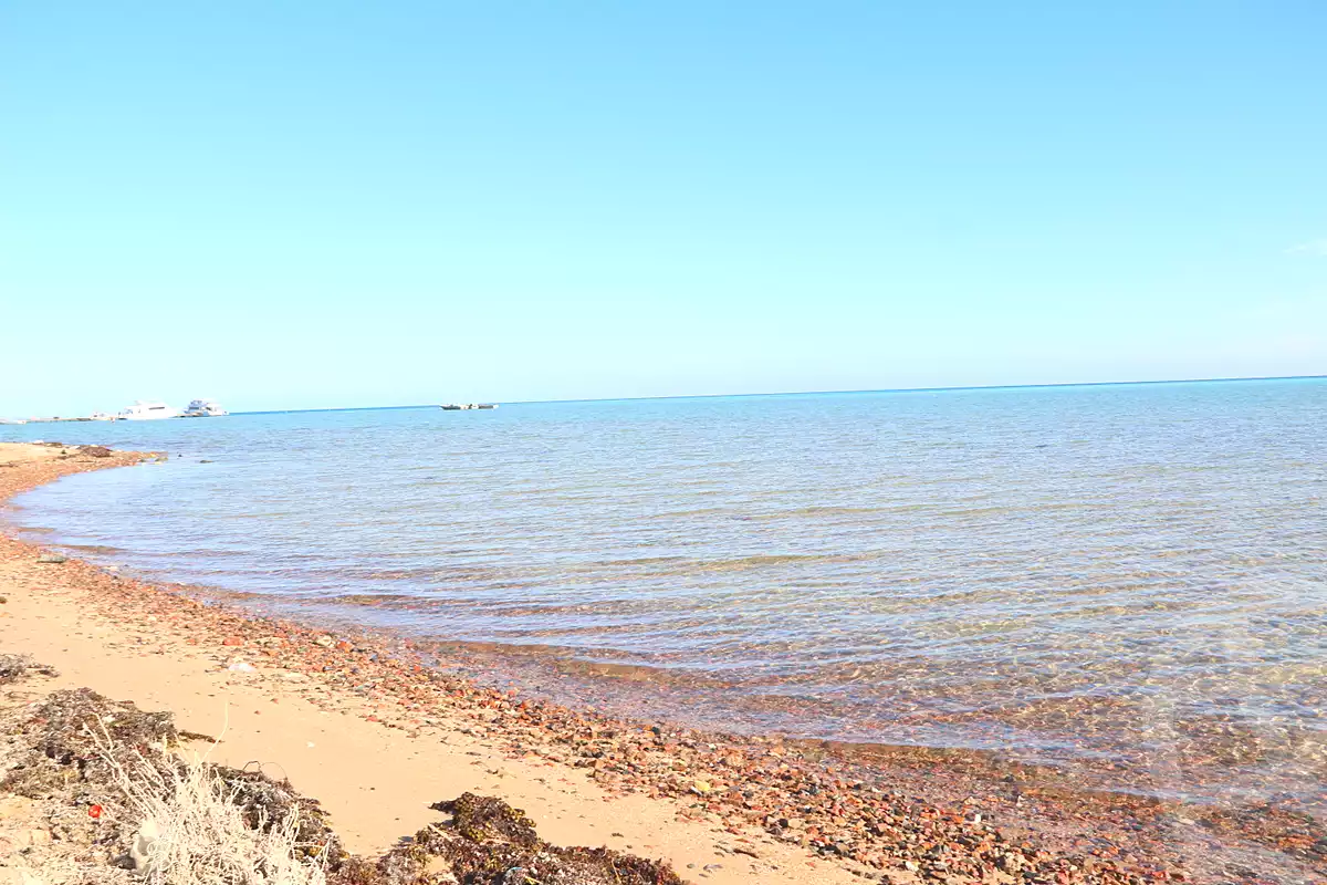 https://aqarmap.com.eg/ar/listing/7122083-for-sale-red-sea-hurghada-resorts-lavanda-beach-resort-alarabia