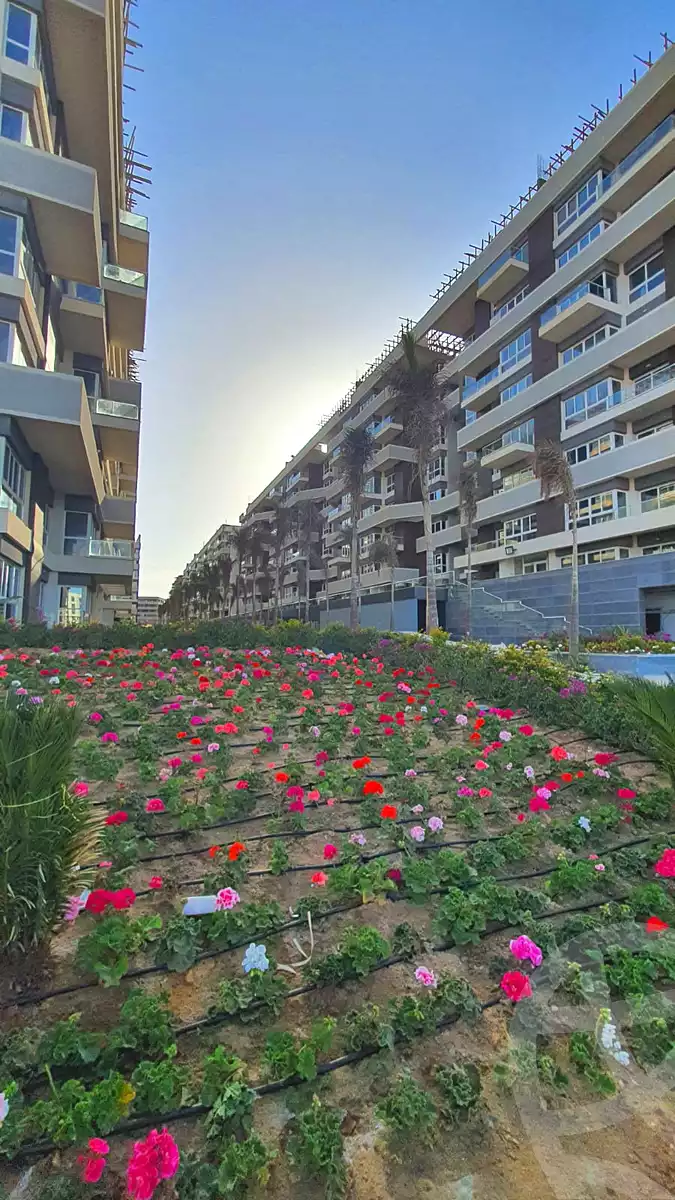 https://aqarmap.com.eg/ar/listing/7122410-for-sale-cairo-new-administrative-capital-r7-scenario