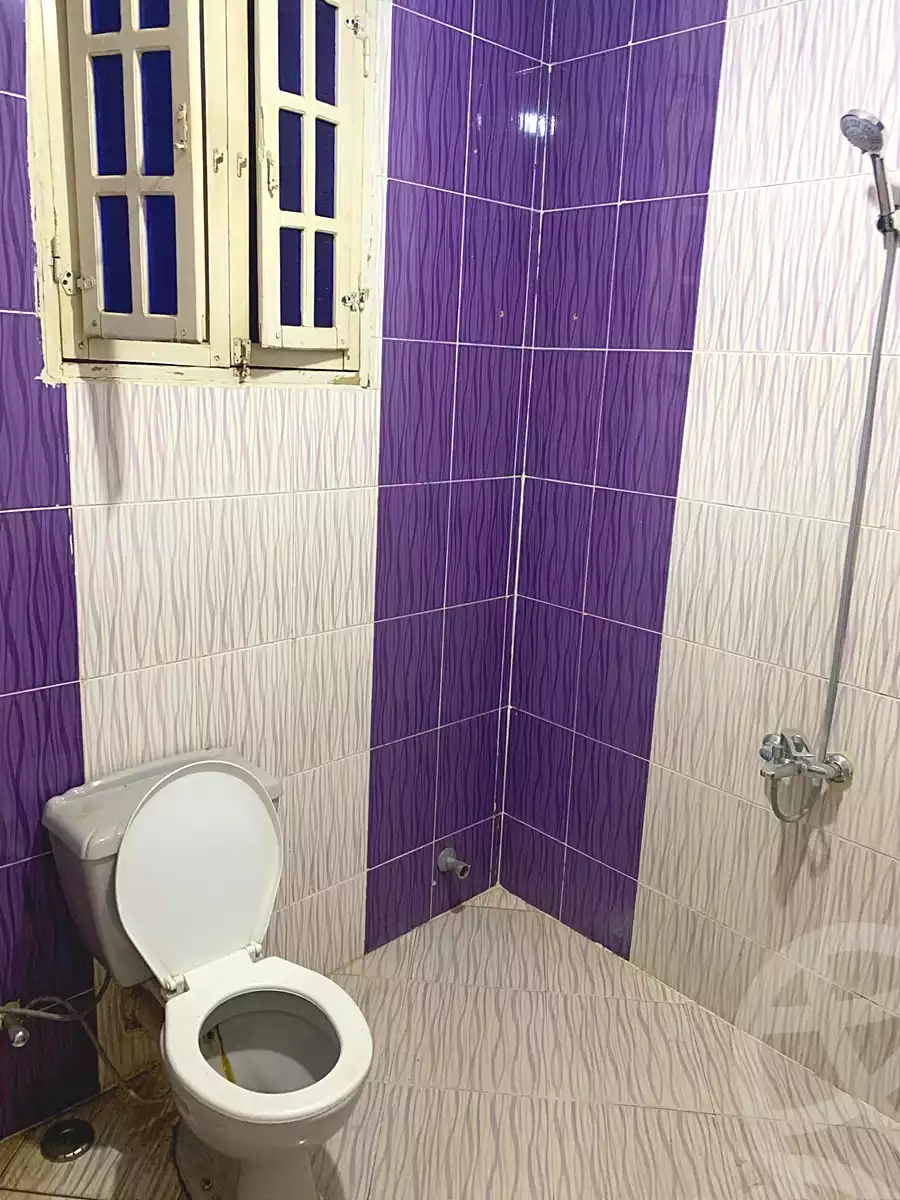https://aqarmap.com.eg/en/listing/7123671-for-rent-cairo-el-haram-el-maryotya-el-orouba-st