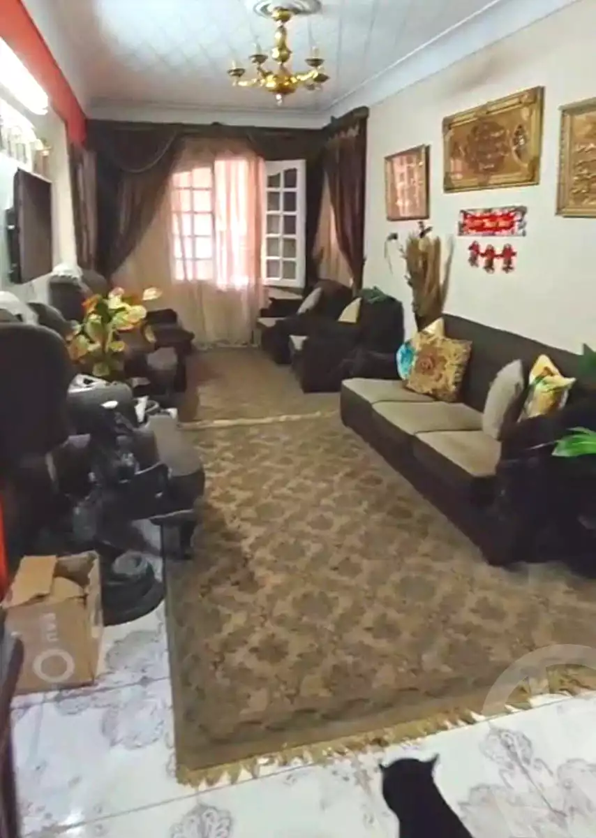 https://aqarmap.com.eg/en/listing/7125173-for-sale-alexandria-miami-abou-el-arab-st