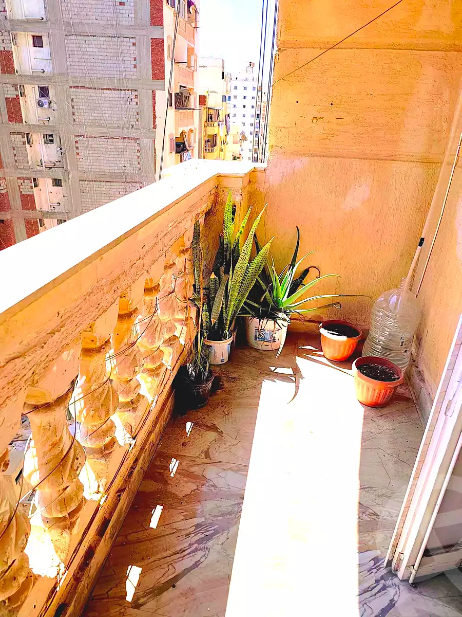https://aqarmap.com.eg/en/listing/7126226-for-rent-alexandria-el-asafra-l-sfr-bhry