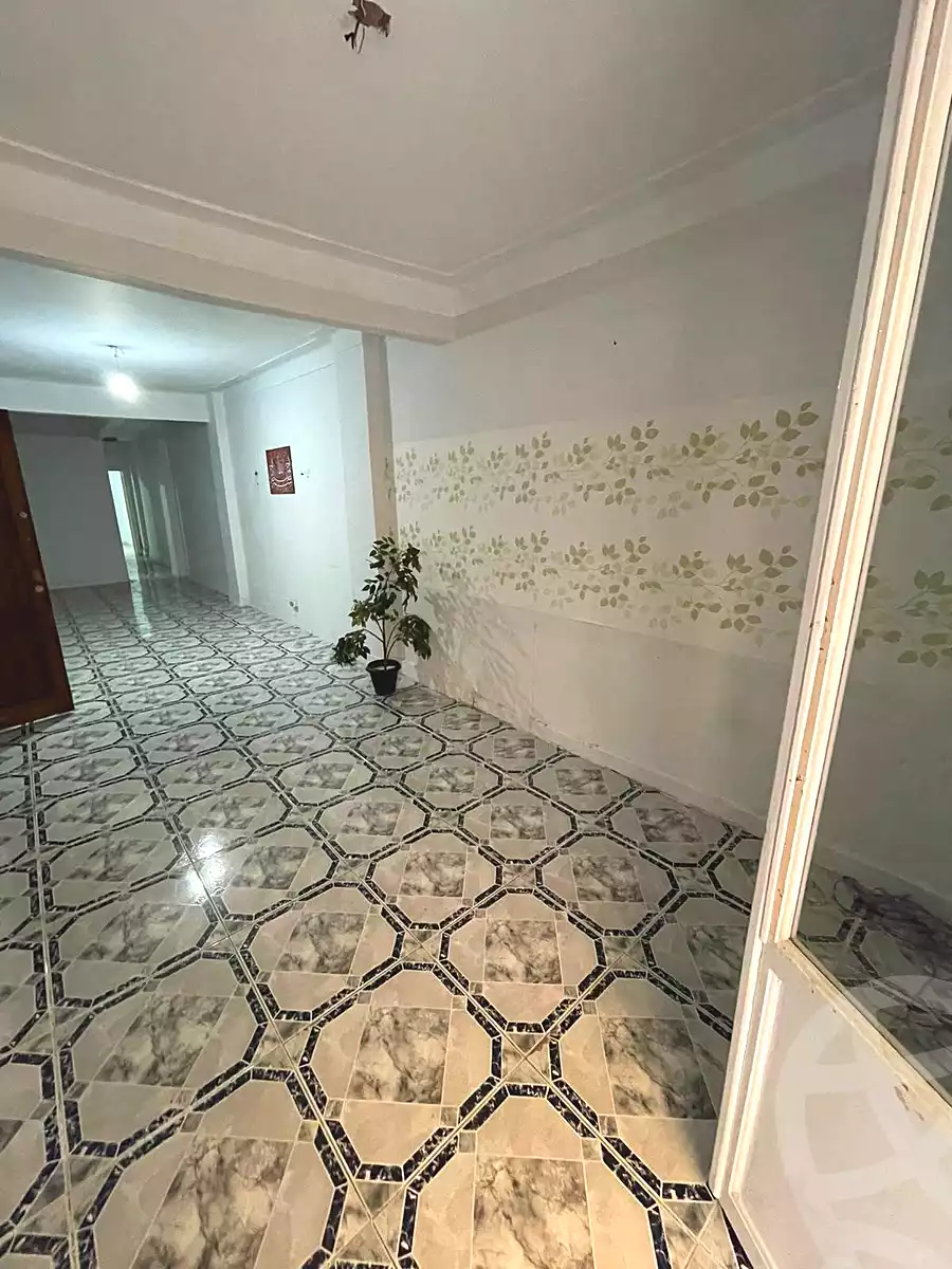 https://aqarmap.com.eg/en/listing/7126403-for-rent-alexandria-cleopatra-al-fostat-st