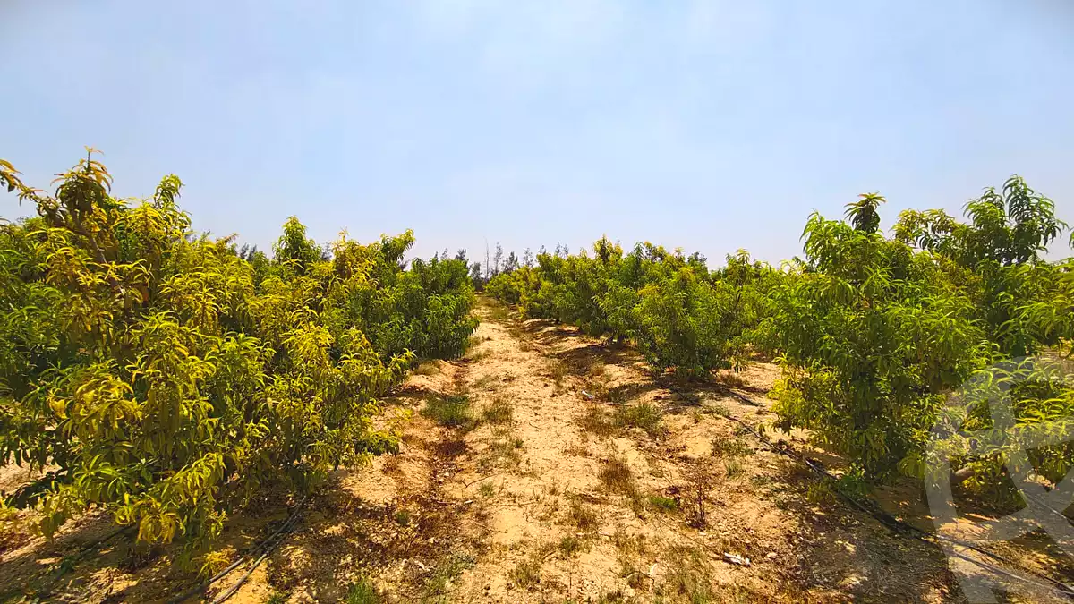 https://aqarmap.com.eg/ar/listing/7128781-for-sale-beheira-new-nubariya-el-yasha-village