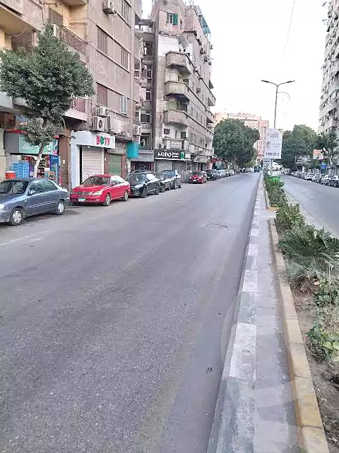 https://aqarmap.com.eg/en/listing/7130232-for-sale-cairo-manial-manial-st