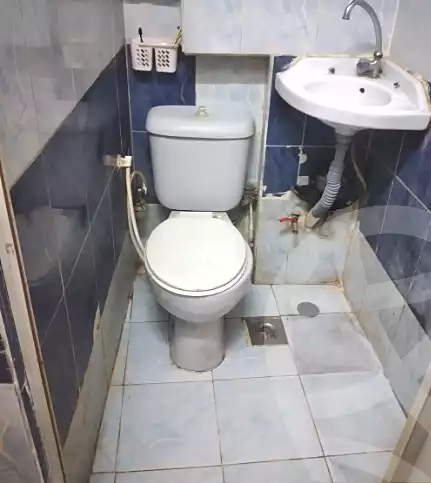 https://aqarmap.com.eg/en/listing/7130736-for-sale-cairo-ain-shams-ain-shams-el-sharkia-mostafa-hafez-st