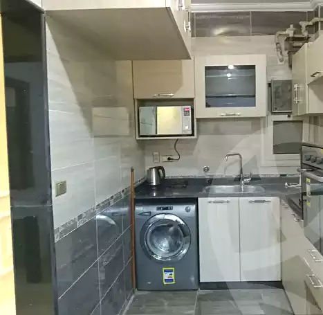 https://aqarmap.com.eg/ar/listing/7135357-for-rent-cairo-manial-manial-st